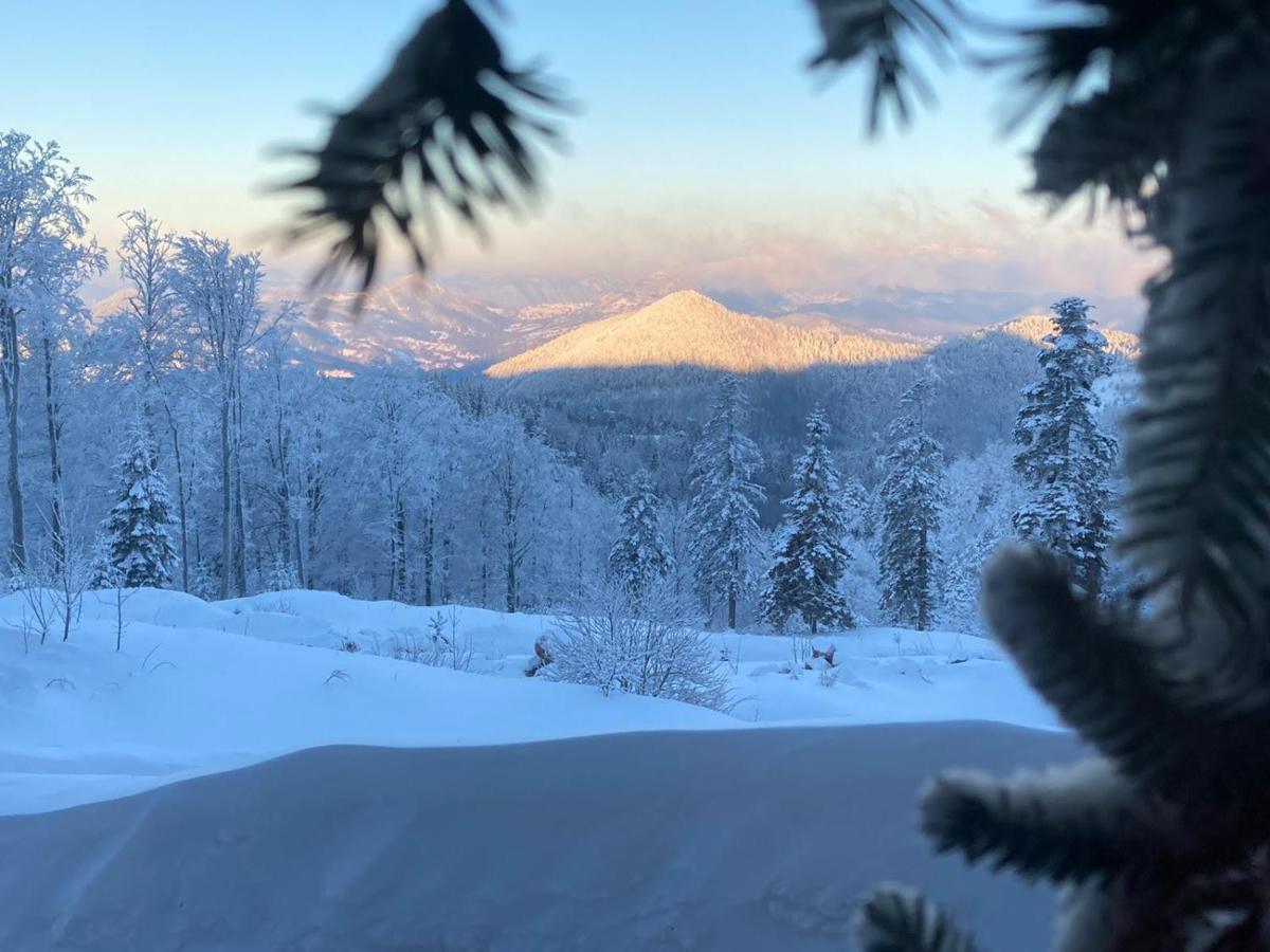 Konak 1400 Tara Mokra Gora Exteriér fotografie