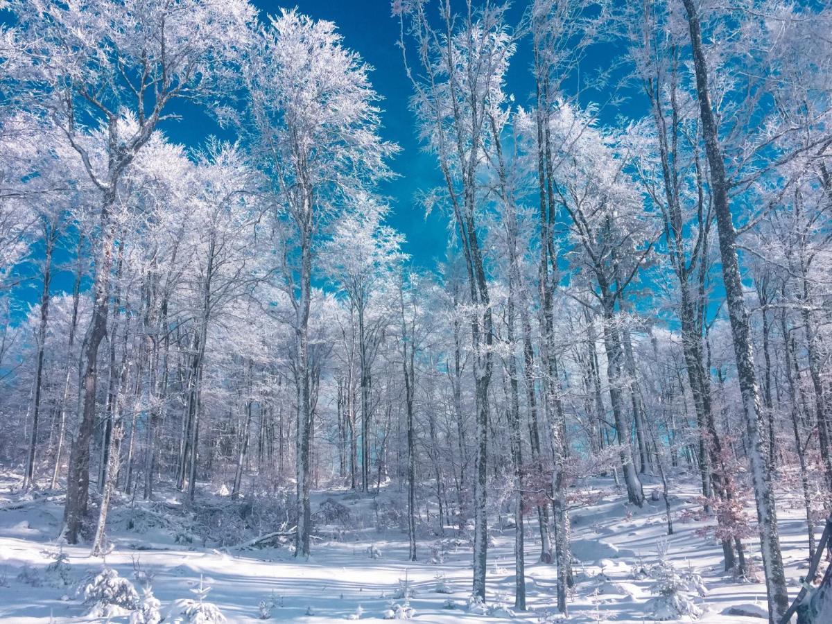 Konak 1400 Tara Mokra Gora Exteriér fotografie